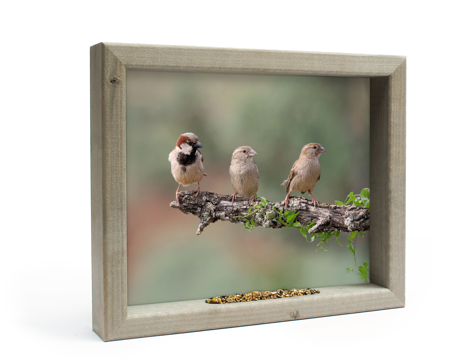 Vogelvoederlijstje Tuinschilderij 3 mussen op tak groen