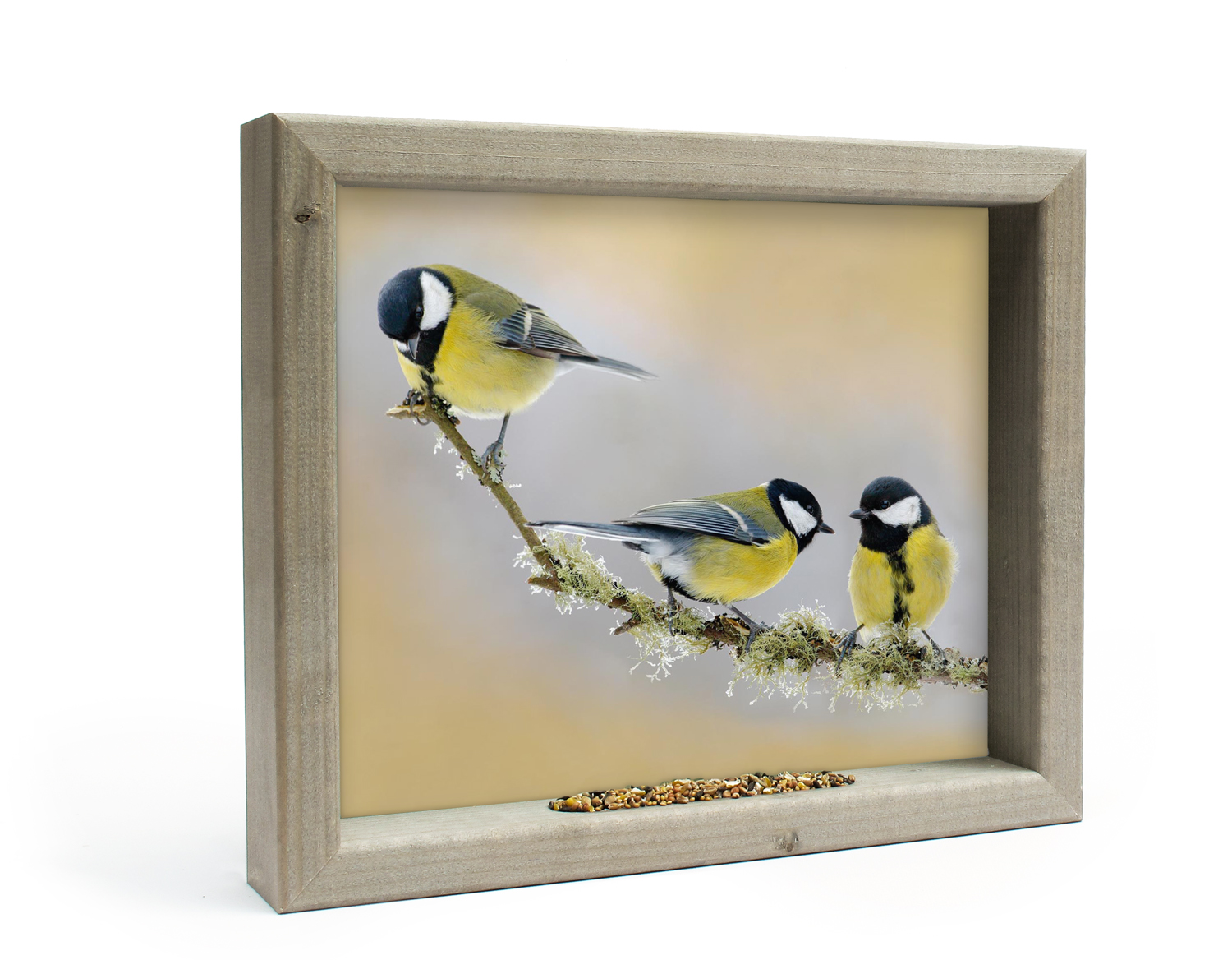 Vogelvoederlijstje Tuinschilderij 3 koolmeesjes op tak