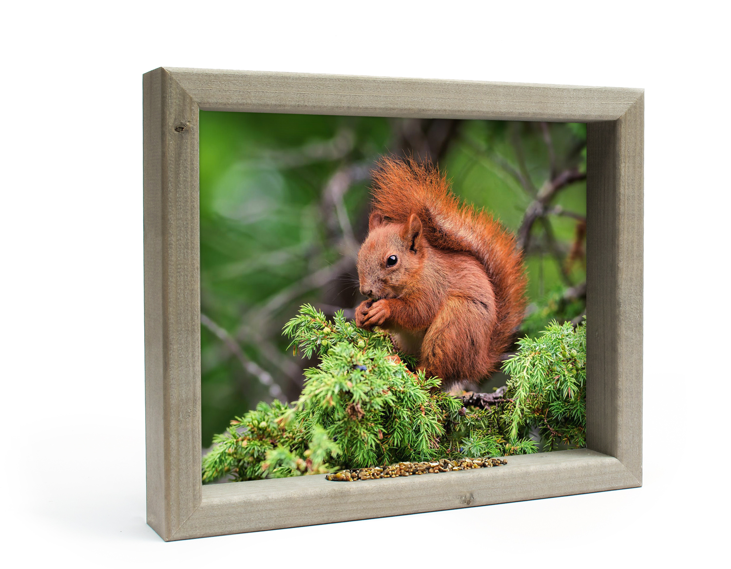 Vogelvoederlijstje Tuinschilderij Eekhoorn