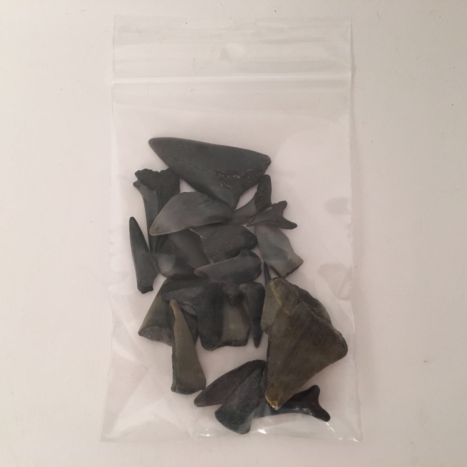 Fossiele haaientanden in zakje - ±30 gram HK0054