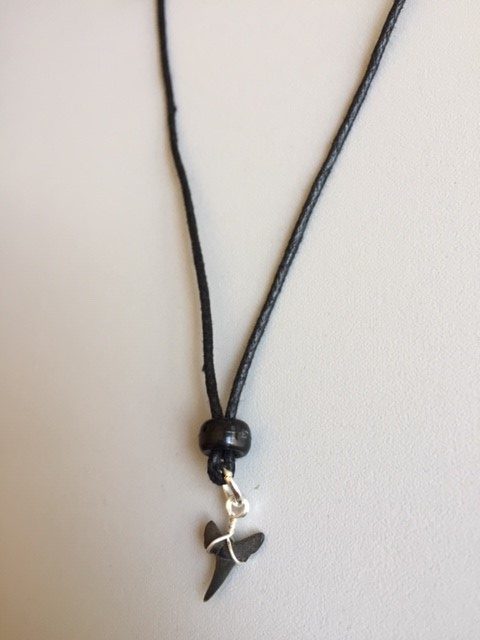Haaientandketting- Fossiel-1,5 cm HK0002