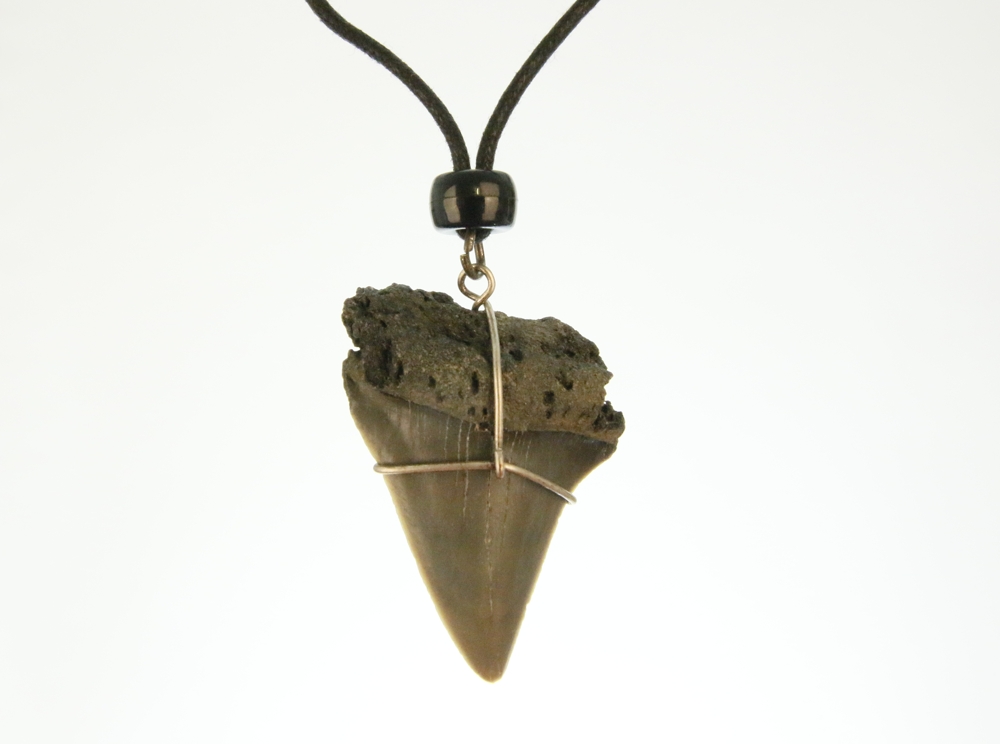 Haaientandketting- Fossiel- 4 à 4,5 cm HK0006