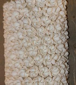 Handgemaakte schelpen wandlamp uit Indonesie bloem