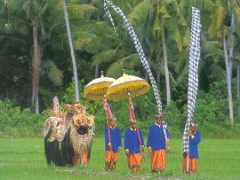 Balinese vlag Umbul Umbul 'zwaardere kwaliteit' Roze 5 meter - Afbeelding 3