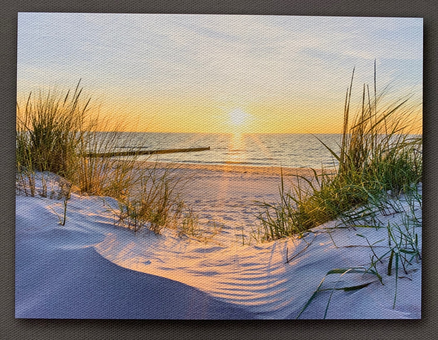 Outdoor tuinposter Helmgras ondergaande zon 80x60cm