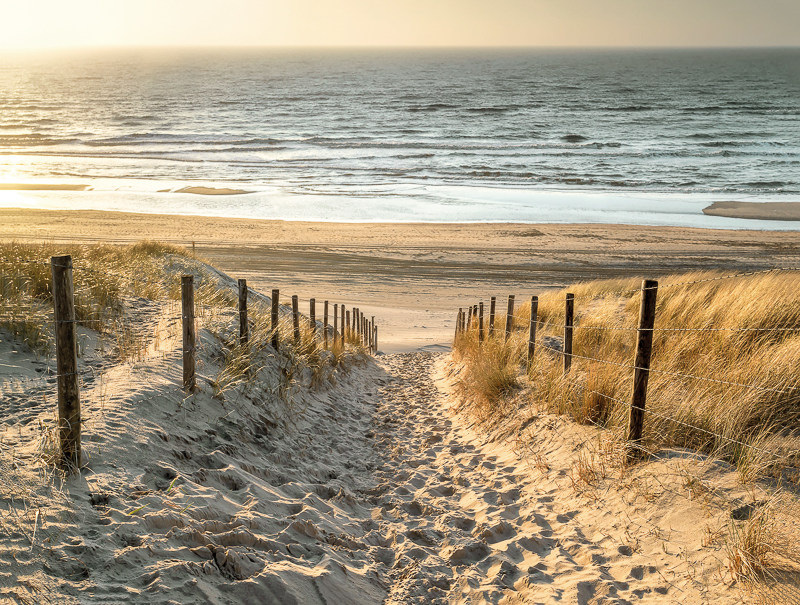 Outdoor tuinposter Strandpad 80x60cm