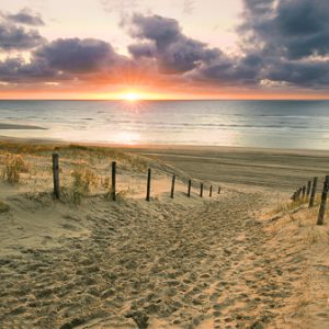 Outdoor tuinposter Strand ondergaande zon 110x45cm