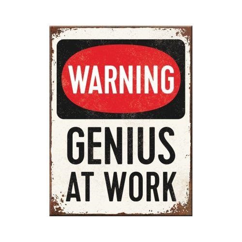 Magneet Genius At Work