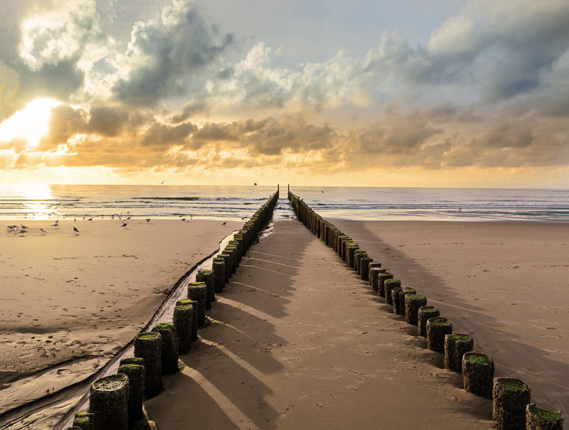 Outdoor tuinposter Strandpalen (ondergaande zon) 80x60cm