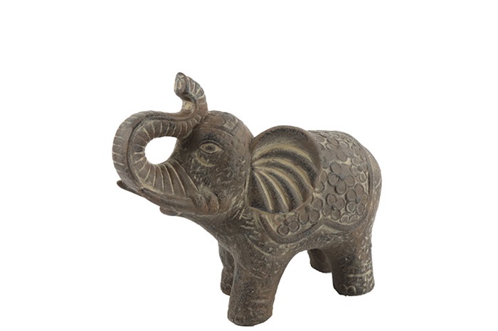 Olifant Jaimy M bruin