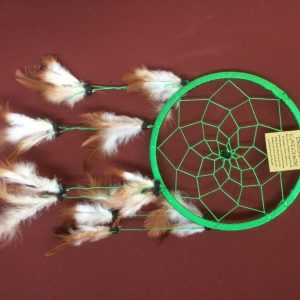 Dromenvanger ±18cm zonder kleintjes groen