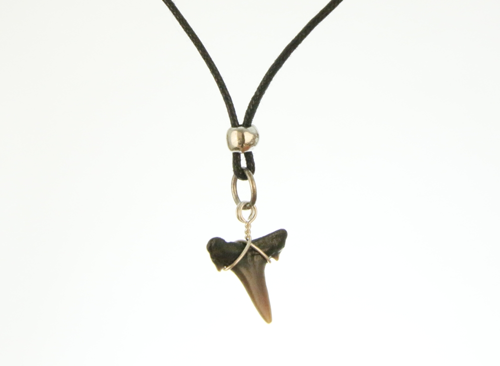 Haaientandketting- Fossiel-1,5 cm HK0002 - Afbeelding 2