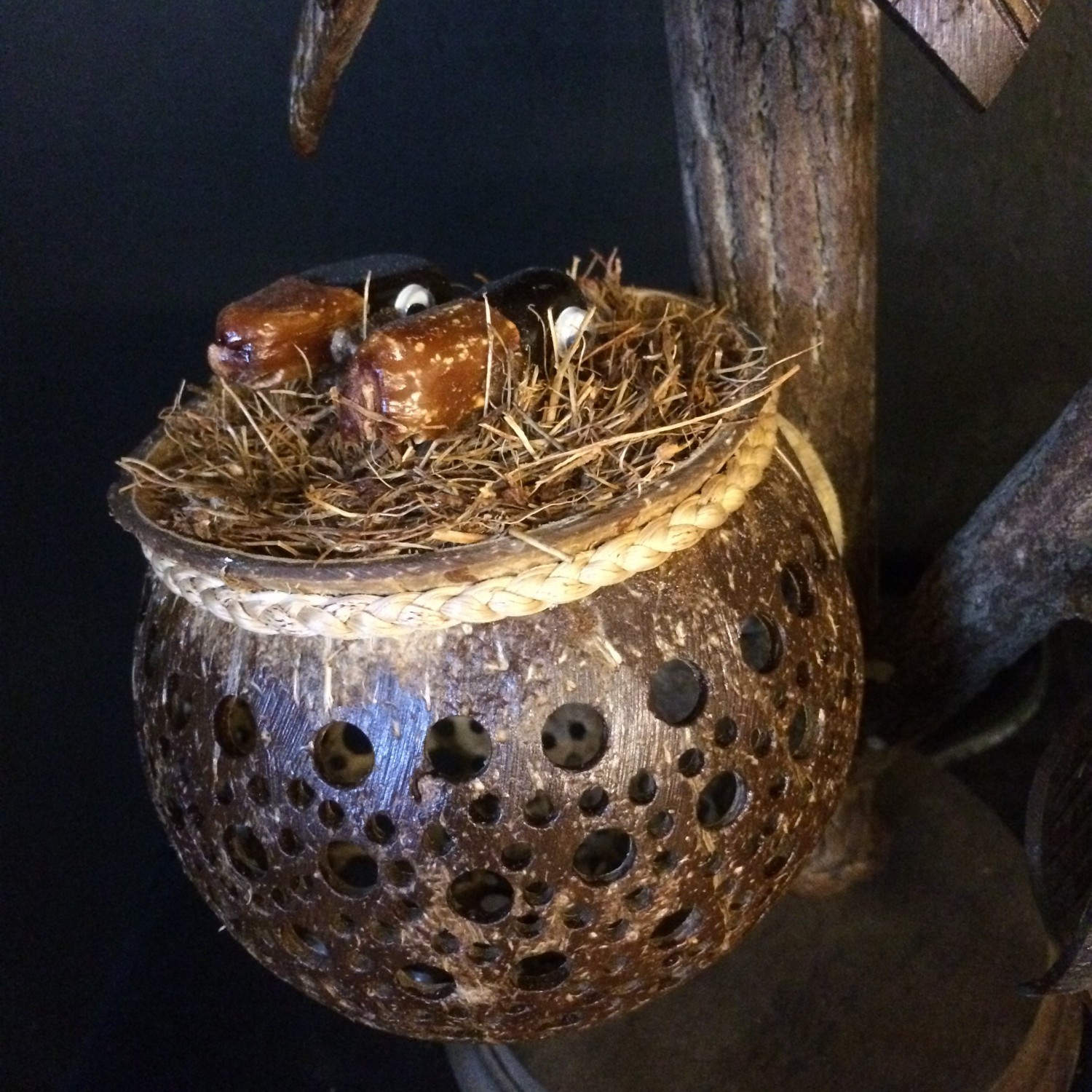 Kokosnootlamp boom/vogelnest - Afbeelding 2