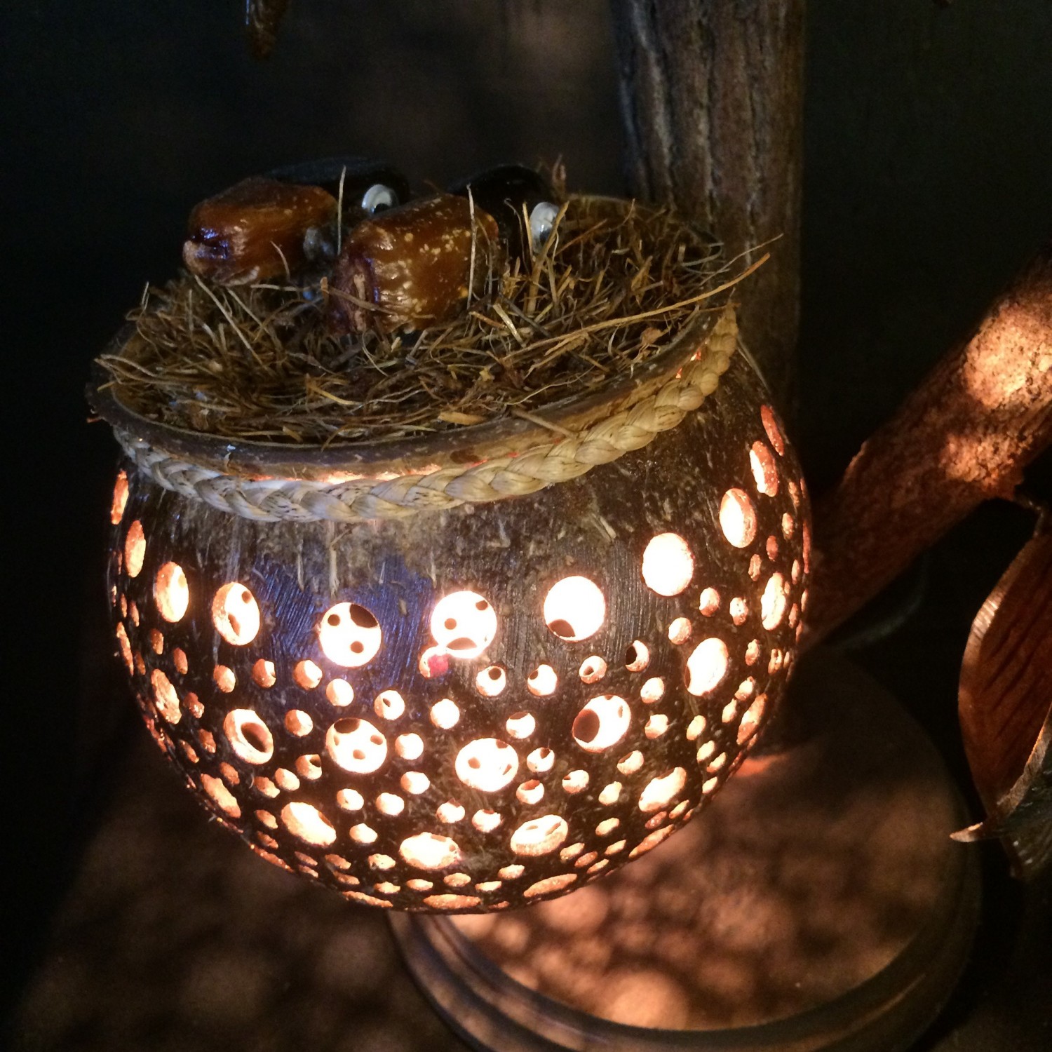 Kokosnootlamp boom/vogelnest - Afbeelding 3