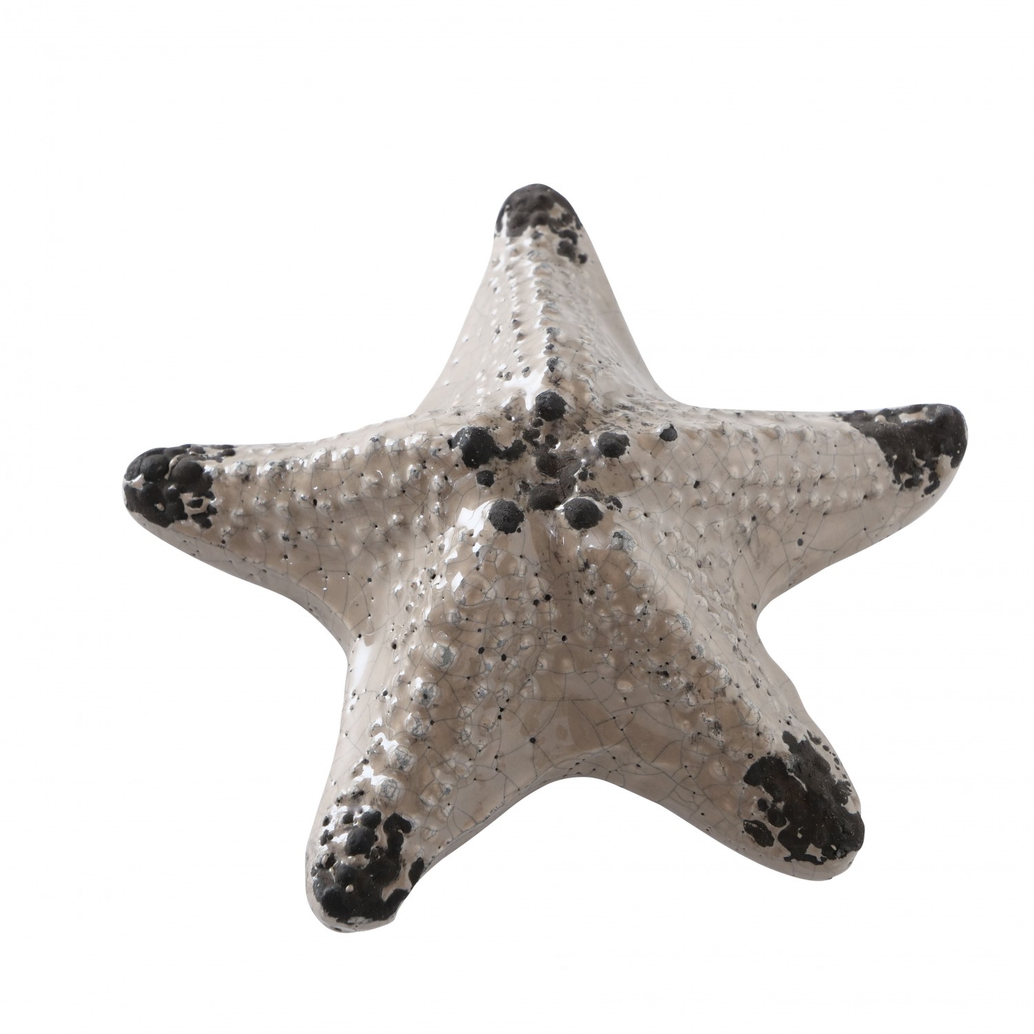 Decoratie Fina Zeester H5cm terracotta bruin