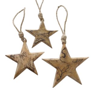 Kersthanger Ster Percha