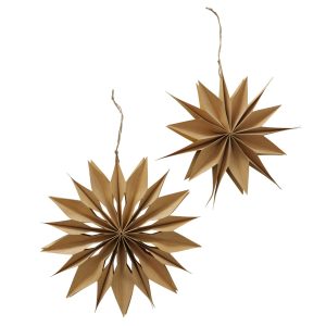 Kerstster Kassia 30 cm 2 assorti
