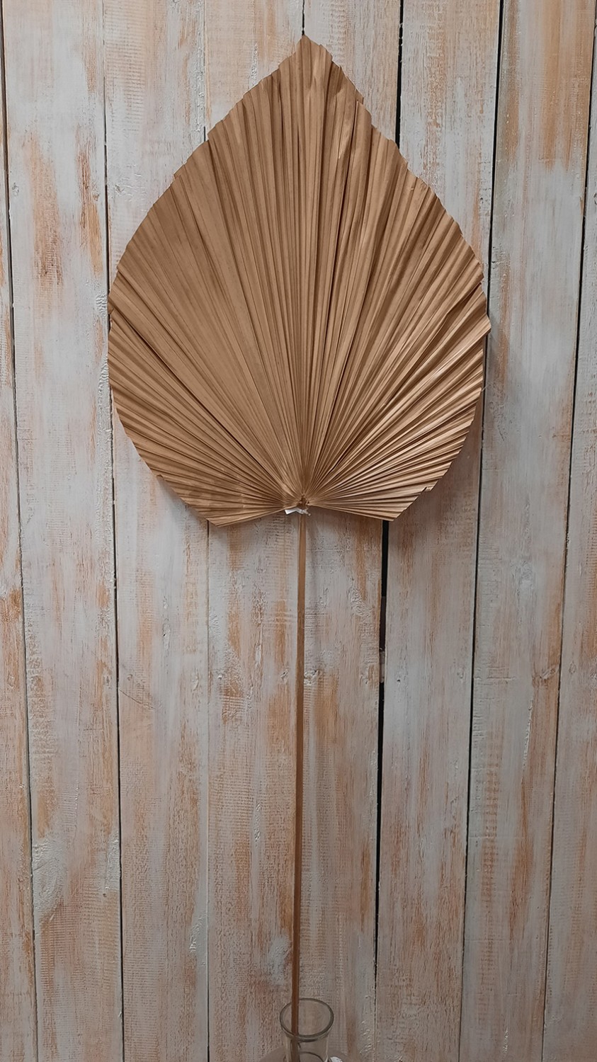 Blad naturel maat S ±40x35cm