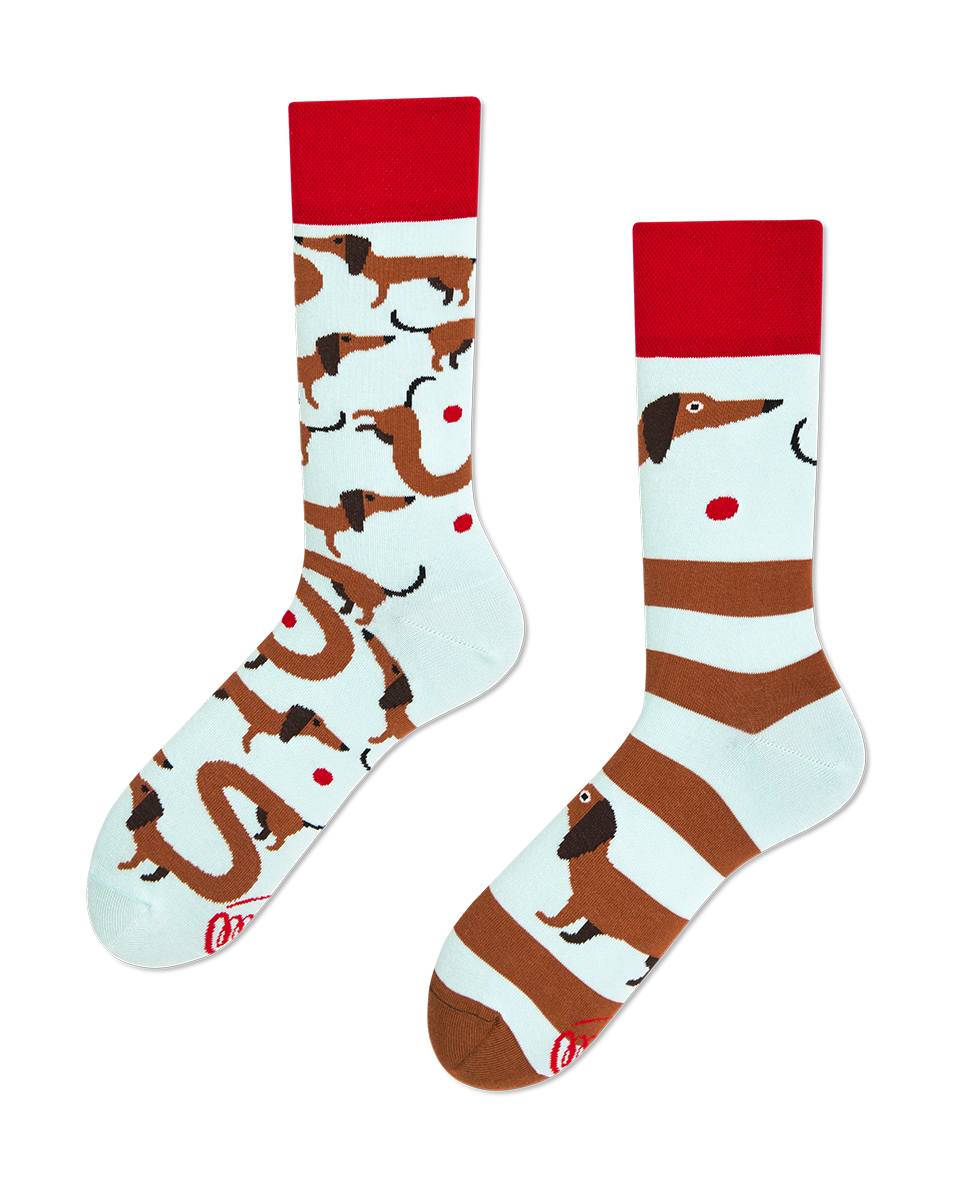 SOKKEN SAUSAGE DOG-43-46