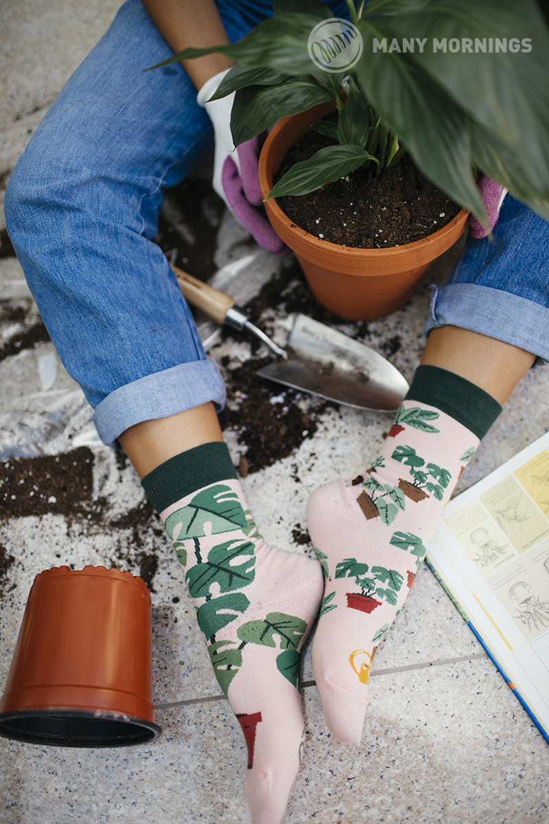 SOKKEN PLANT LOVER-35-38 - Afbeelding 2
