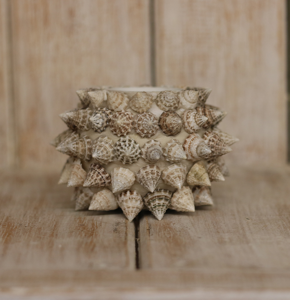 Waxinelichthouder Schelp Multi.