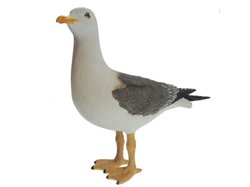 Staande meeuw 40cm