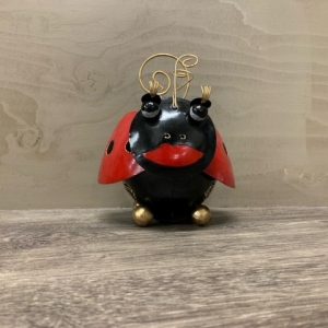 Spaarpot lieveheersbeestje 10cm