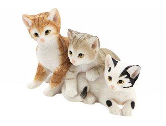 3 poesjes liggend en zittend tigre