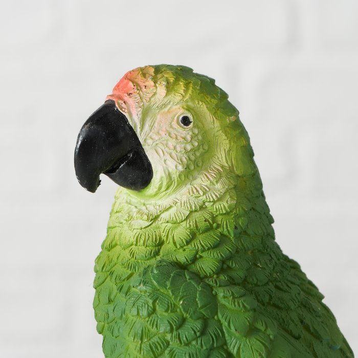 Parrot Lois 3sort H21cm polyresin 36 - Afbeelding 3