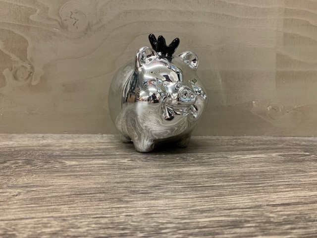 Spaarvarken zilver - spaarpot
