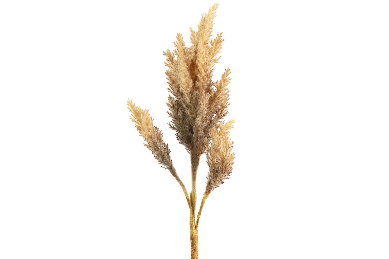 Astilbe droog bloem l.bruin plastic