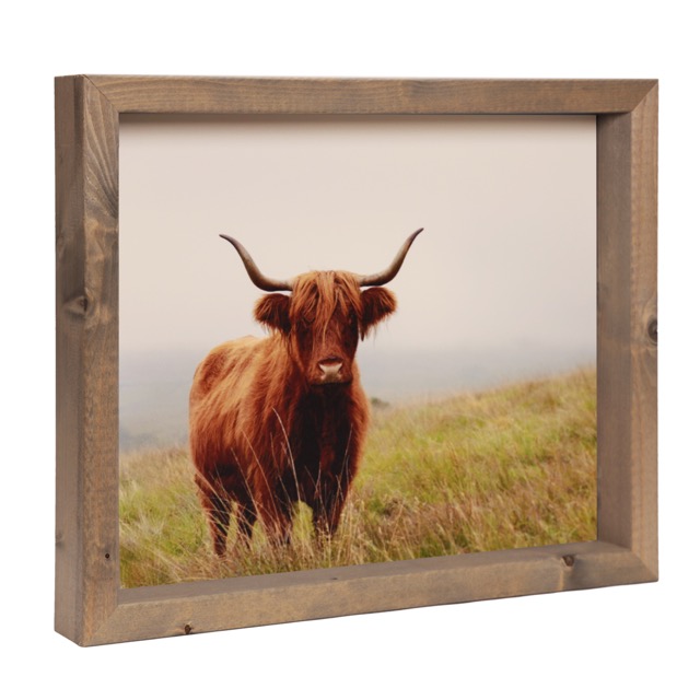 Longhorn duinen 41x34 (ST08)