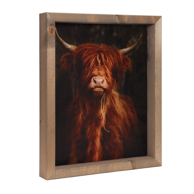 Longhorn donker 34x41 (ST07)