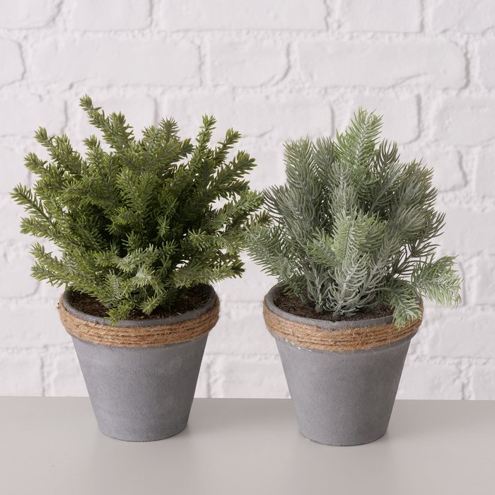Plant in pot Sakari 2 ass., Boompje, H 25cm - Afbeelding 2