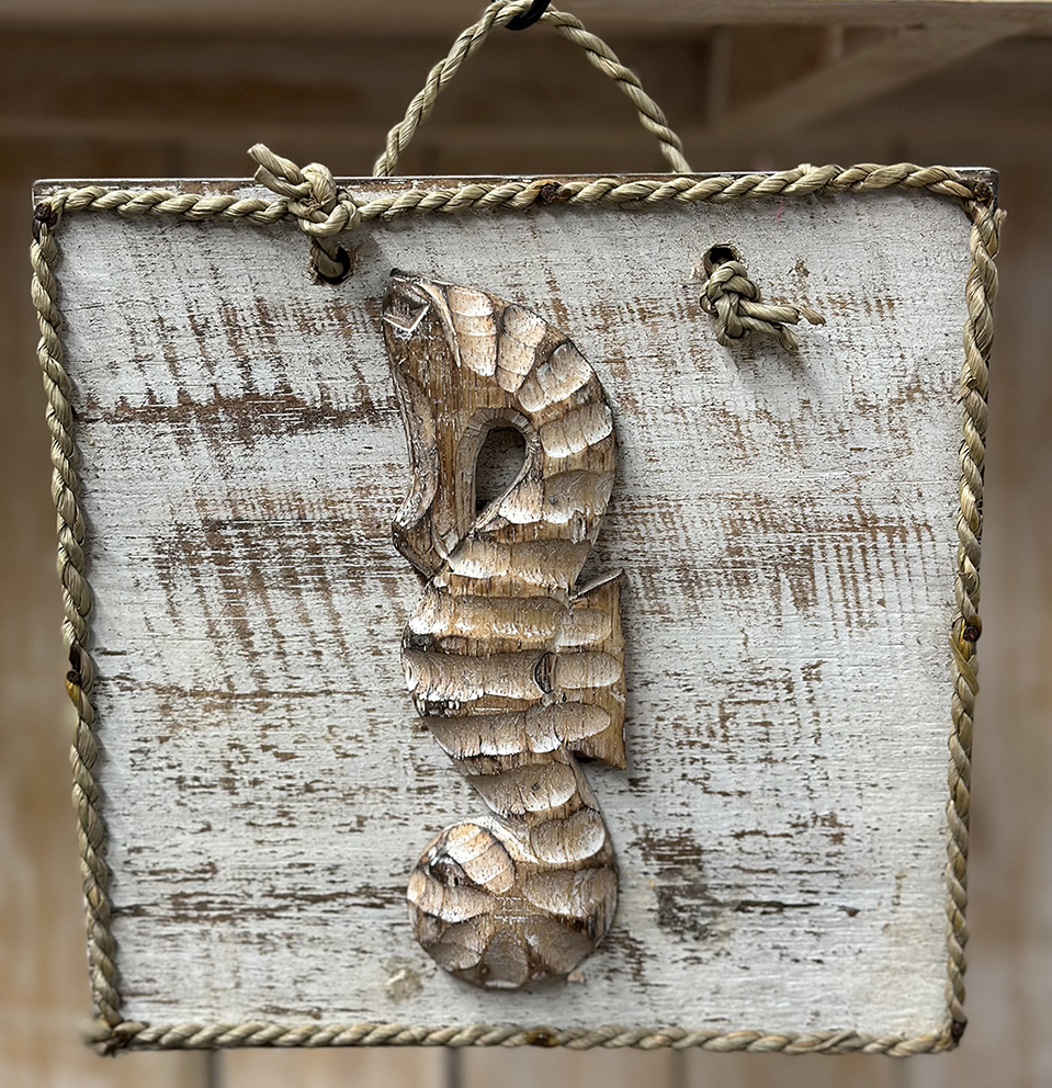 Bordje Touw + Zeepaard 20x20cm Bruin