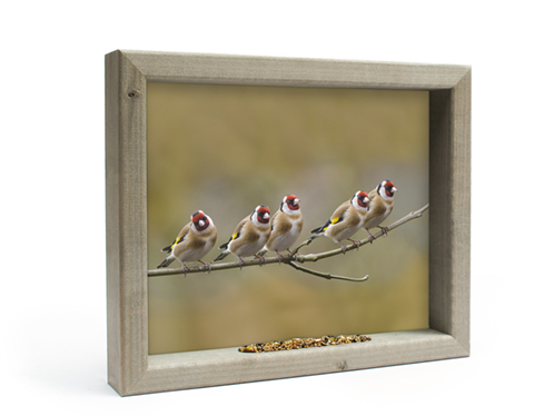 Vogelvoederlijstje Tuinschilderij 5 Puttertjes