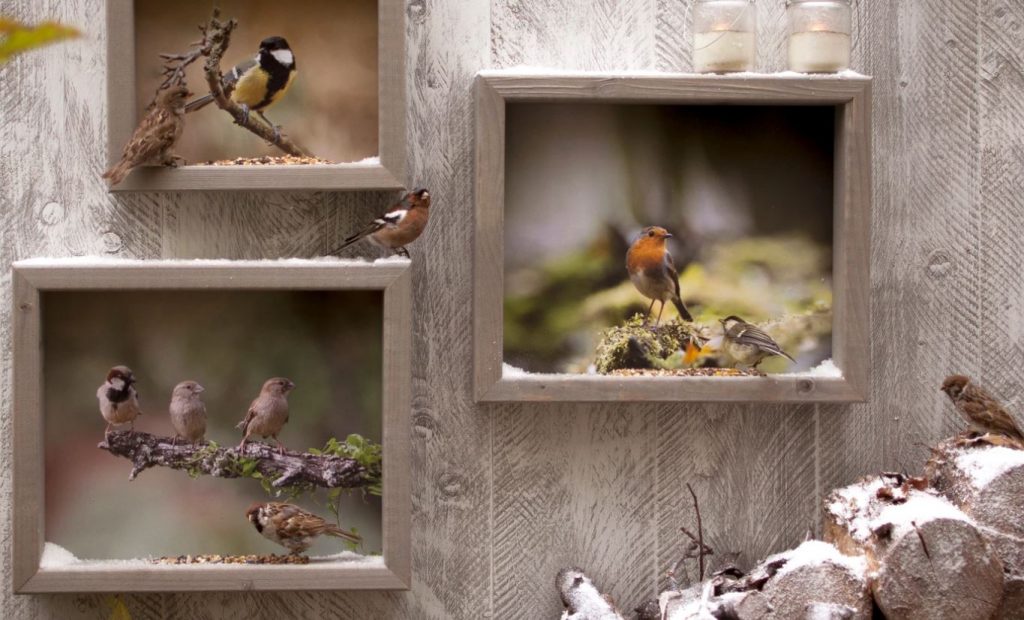 Vogelvoederlijstje Tuinschilderij 5 Puttertjes - Afbeelding 2