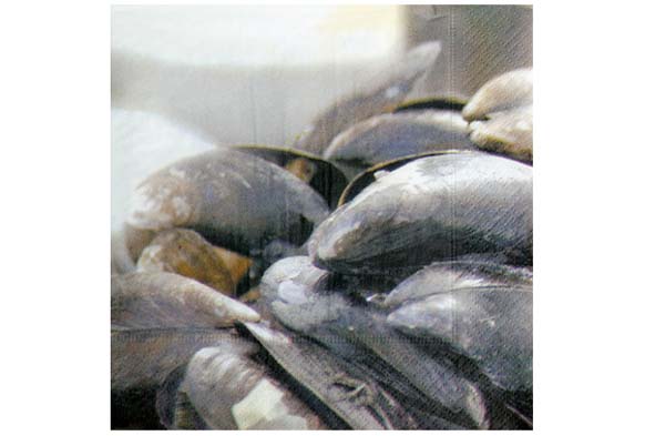 SERVETTEN MOSSELS SET20 33X33CM