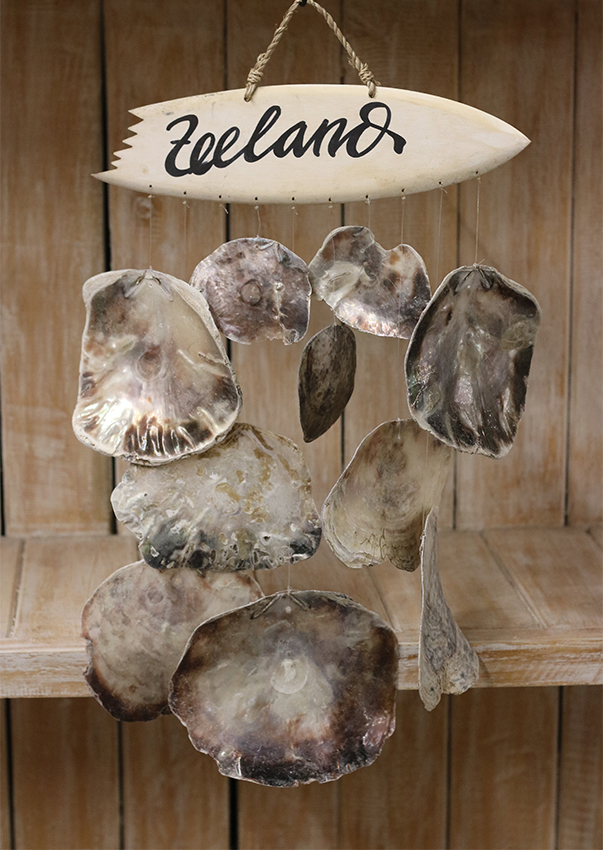 Wanddecoratie oesterschelp + surfplank Zeeland