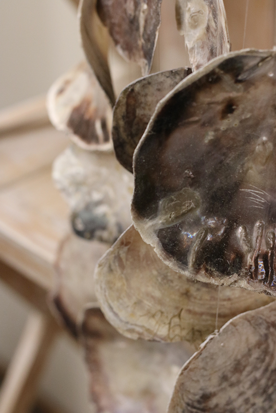 Wanddecoratie oesterschelp + surfplank Zeeland - Afbeelding 2
