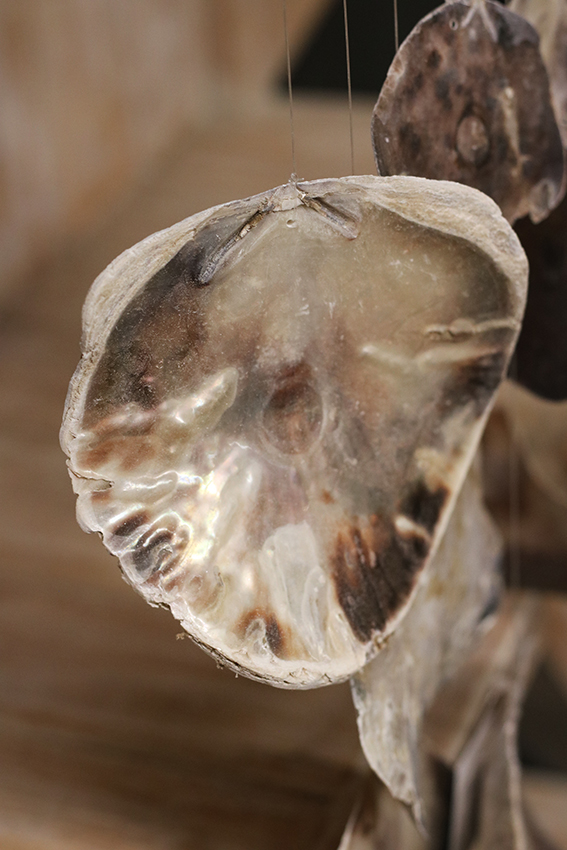 Wanddecoratie oesterschelp + surfplank Zeeland - Afbeelding 4