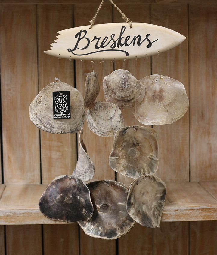Wanddecoratie oesterschelp + surfplank Breskens