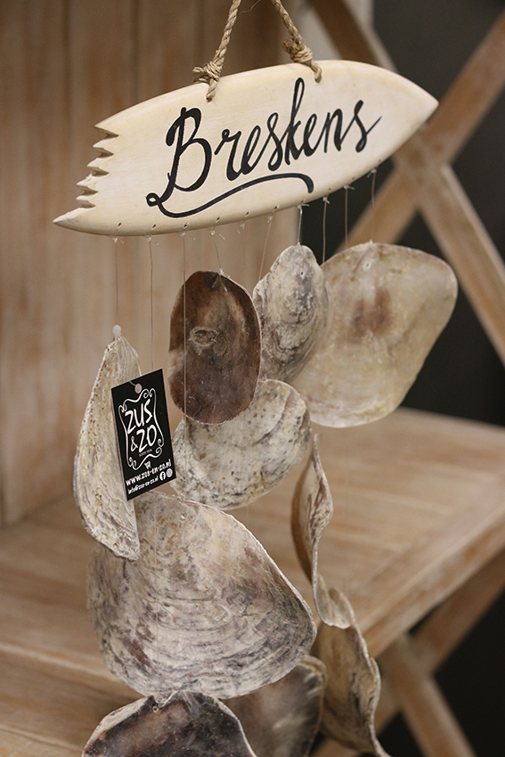 Wanddecoratie oesterschelp + surfplank Breskens - Afbeelding 2
