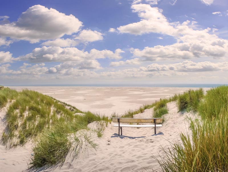 Outdoor tuinposter strand+bank
