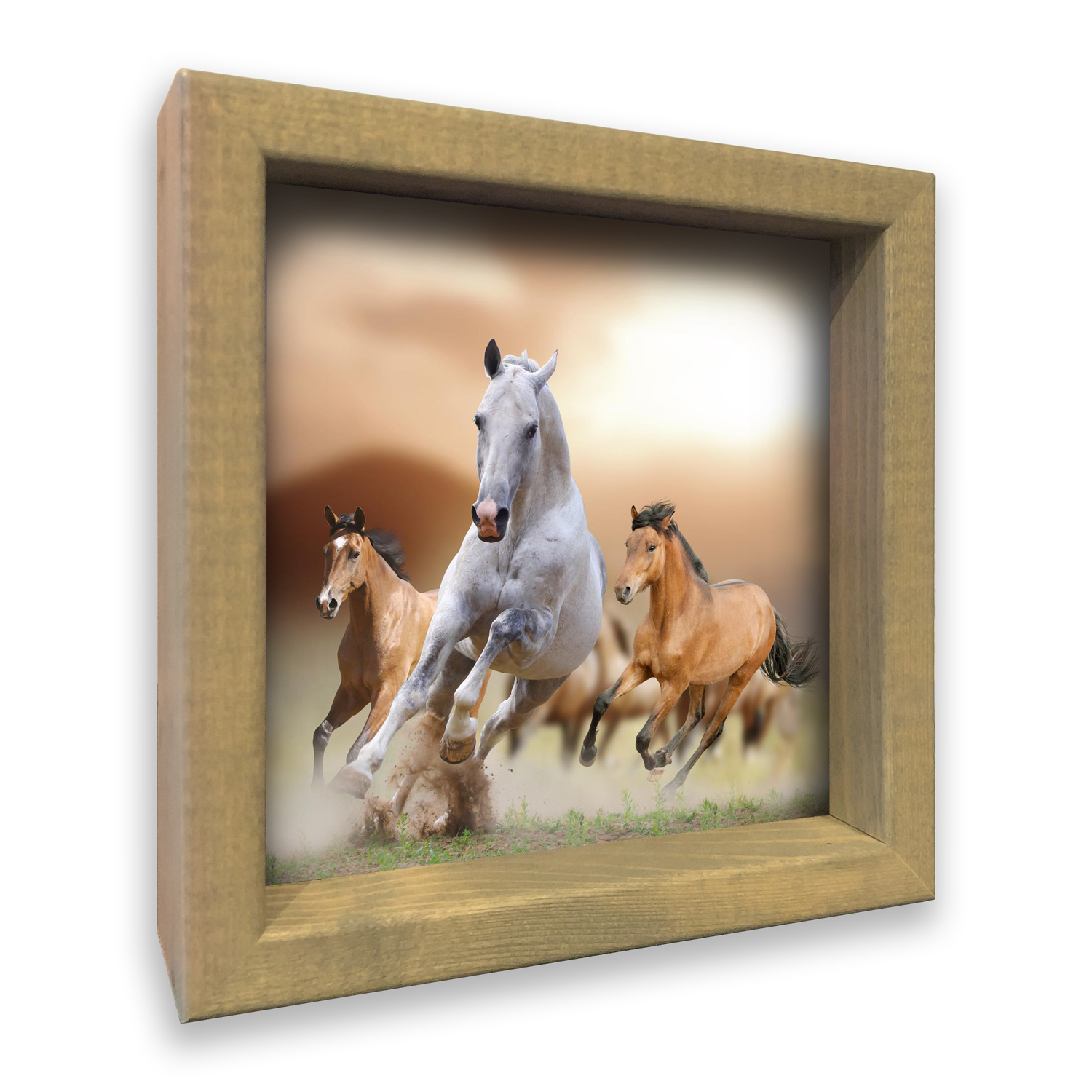 3D Paarden