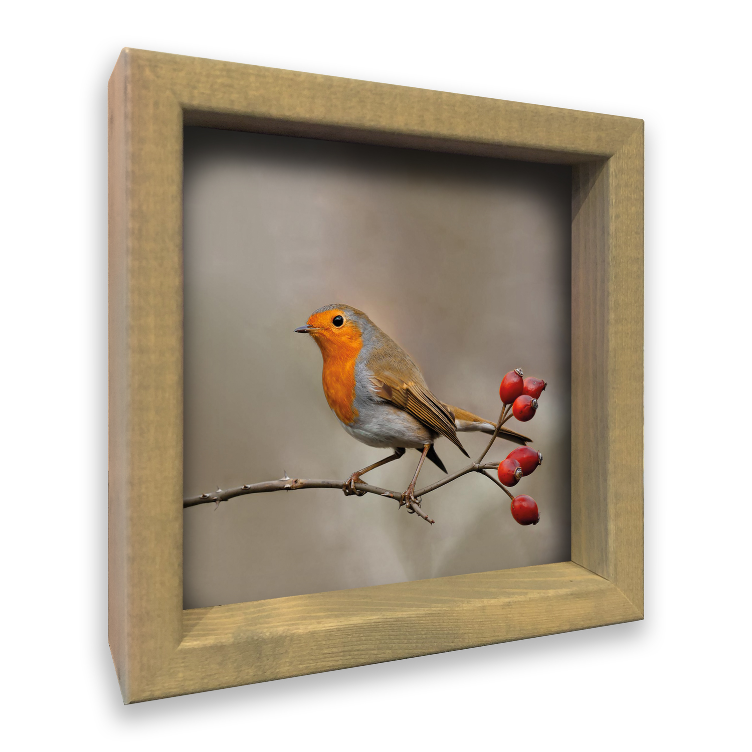 3D Roodborst