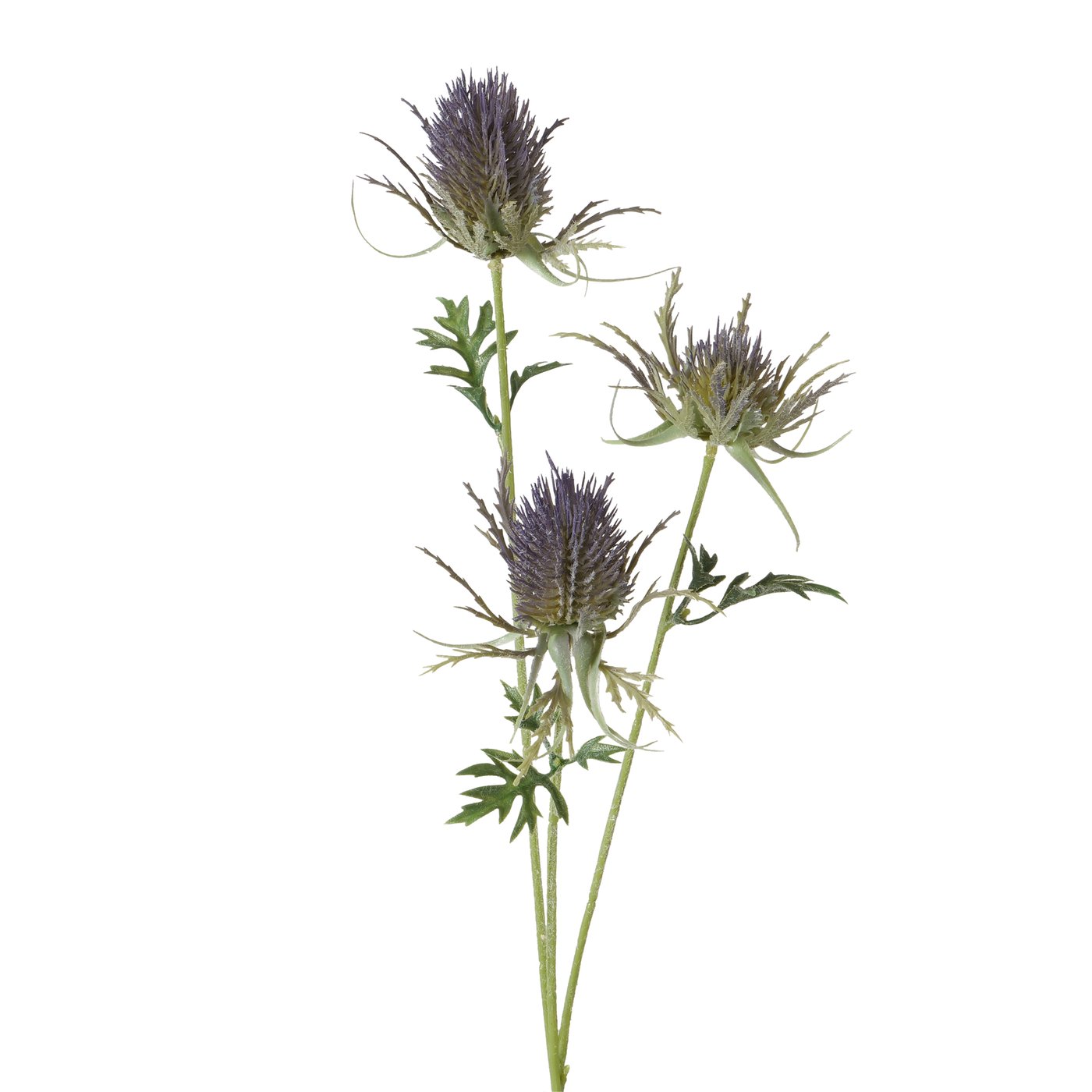 Decoratieve tak, Thistle, voor binnen, kleurrijk
