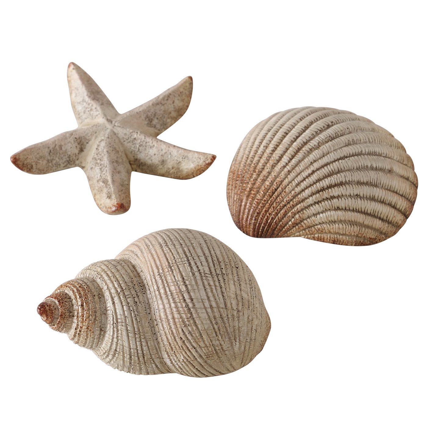 Decoratief object Bigo, 3 ass., zeeschelp, zeester, H 5cm