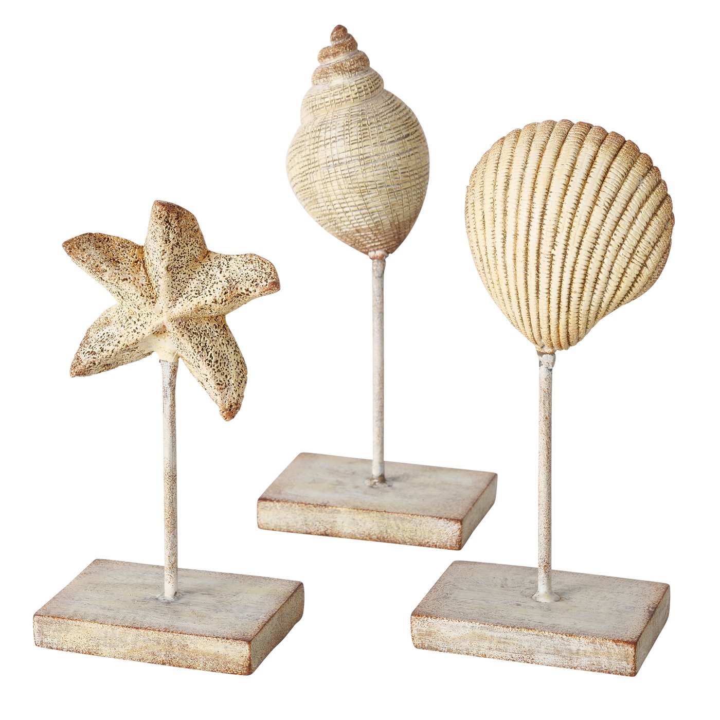 Decoratief object Bigo, 3 ass., zeester, H 18cm