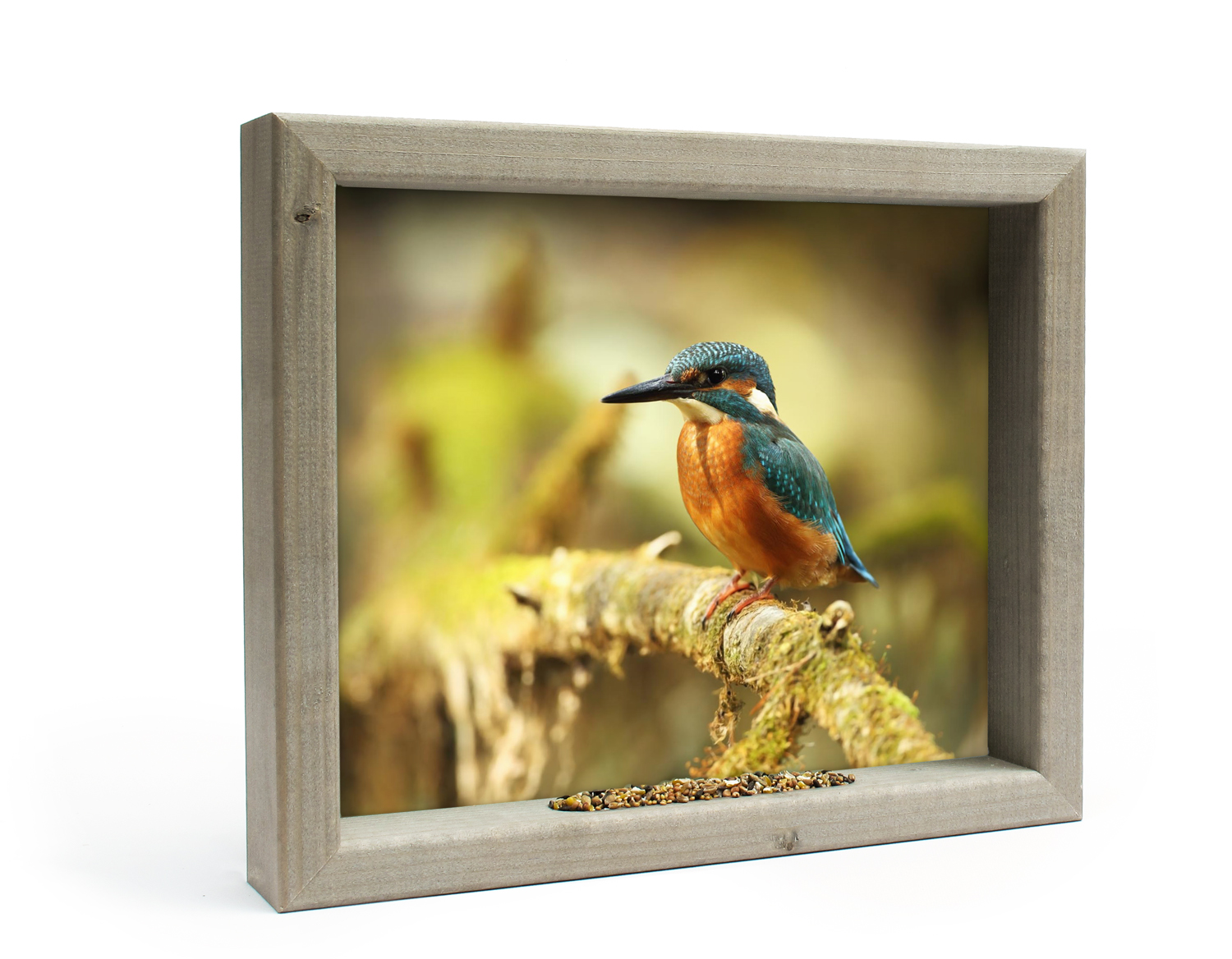 Vogelvoederlijstje Tuinschilderij Ijsvogel